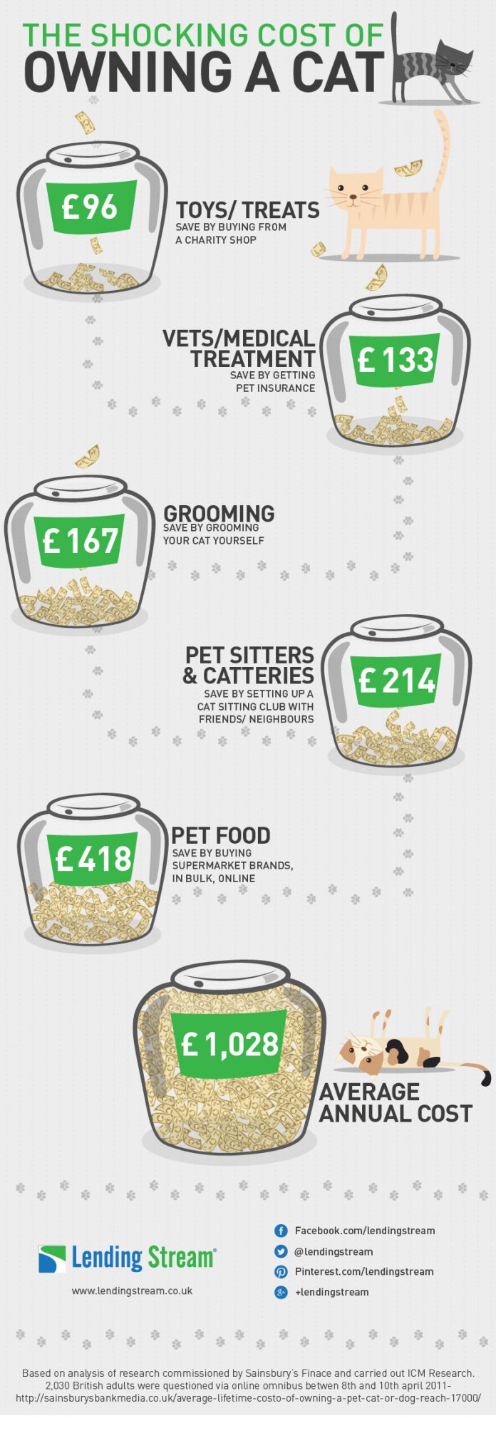 How much does a cat cost?