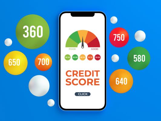 Reasons Why Your Credit Score Differs Across Different Sites
